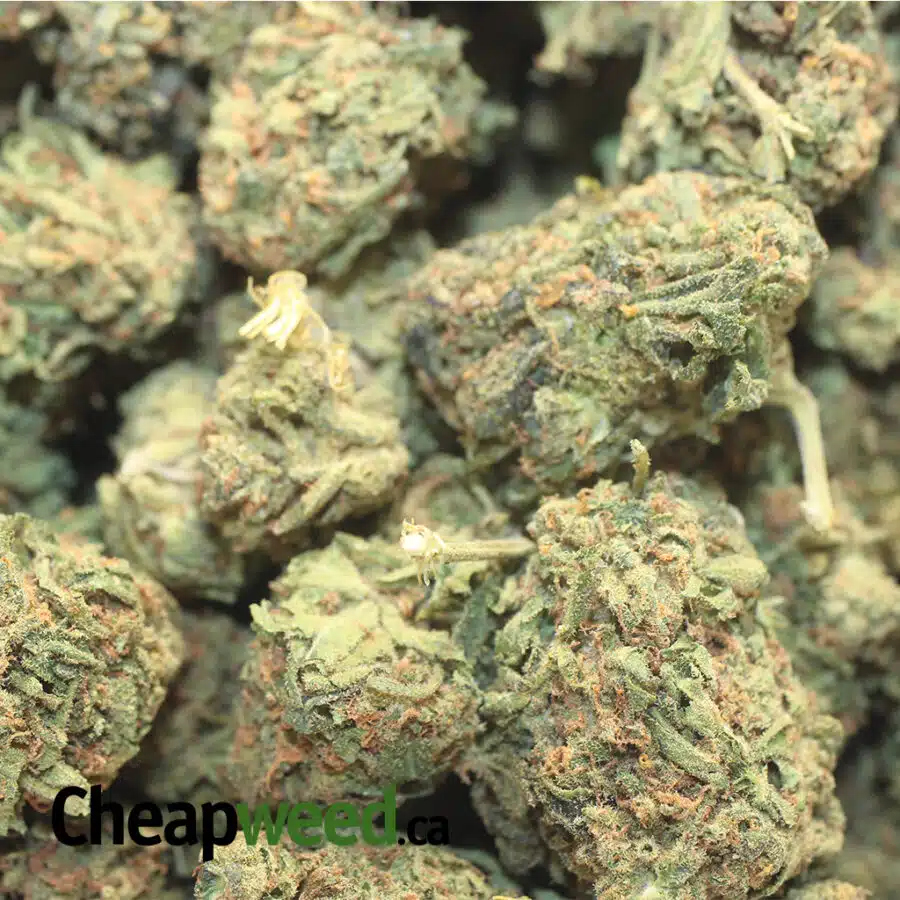 SOUR BUBBA BS 3 1 I Sour Bubba Bulk Special