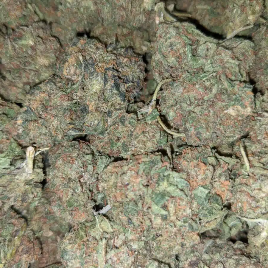SOUR BUBBA BS 3 I Sour Bubba Bulk Special