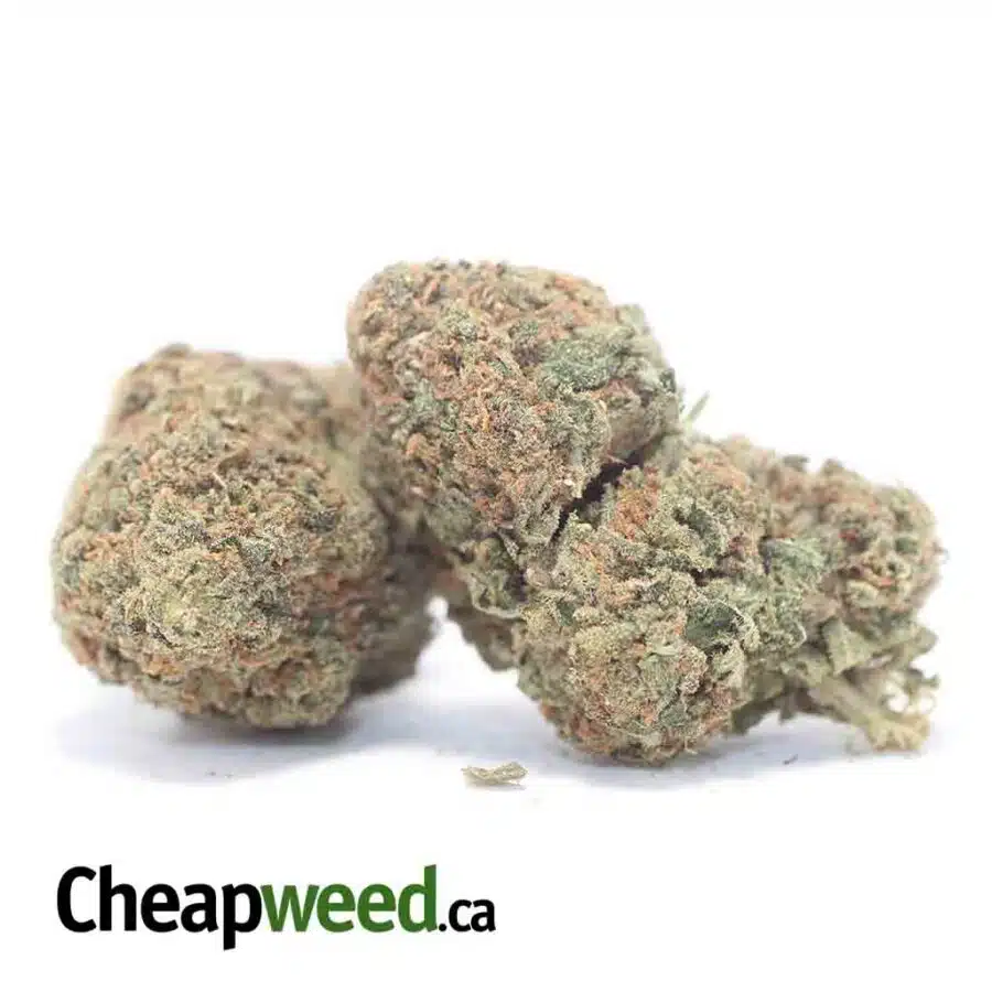 Alternative view of Sour Bubba Bulk Special