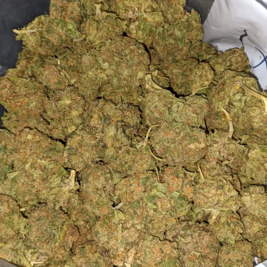 SOUR BUBBA BS 4 I Sour Bubba Bulk Special