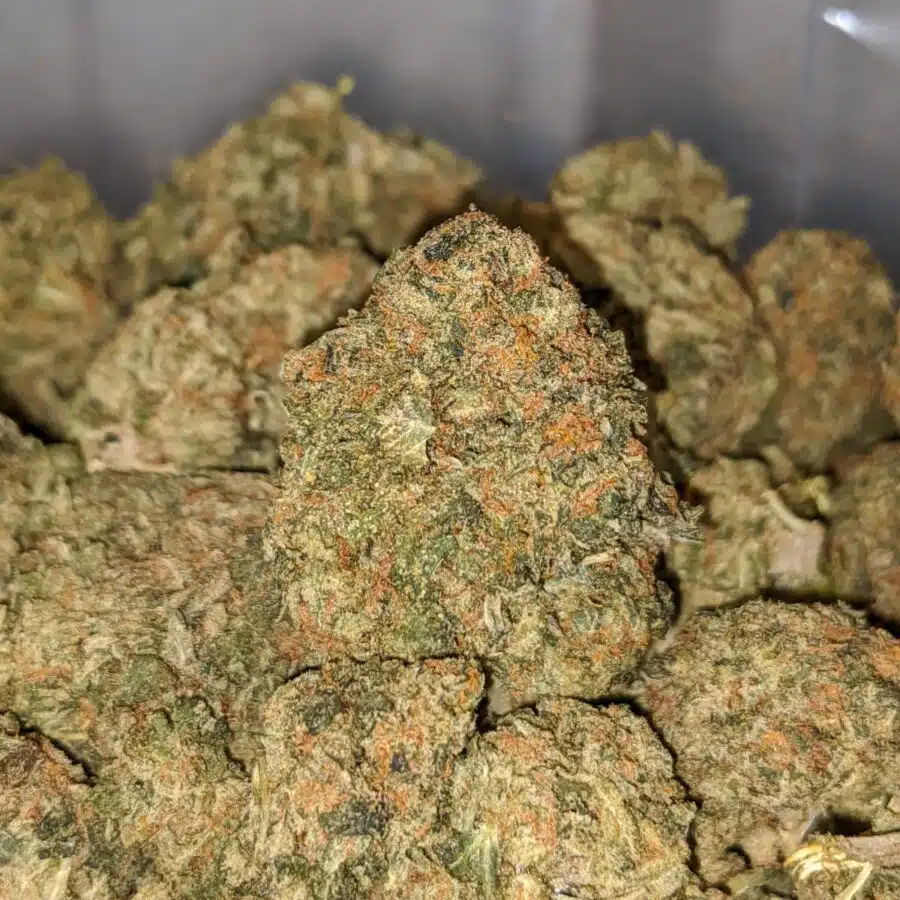 SOUR CANDY BS 1 I Sour Candy Bulk Special