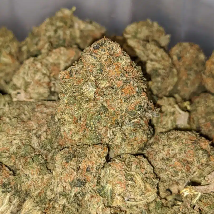 SOUR CANDY BS 2 I Sour Candy Bulk Special