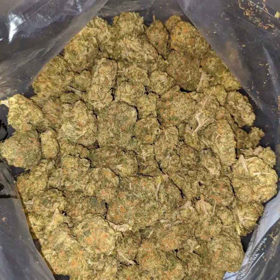 SOUR CANDY BS 3 I Sour Candy Bulk Special