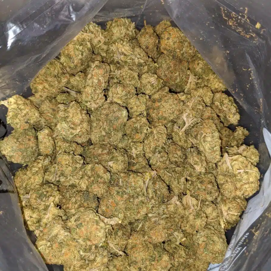 SOUR CANDY BS 4 I Sour Candy Bulk Special