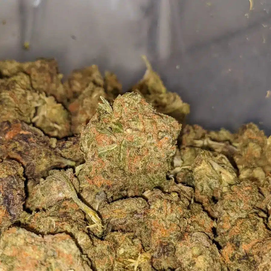 STINKY BUBBA BS TO SKUNK OG 3 I Skunk OG Bulk Special