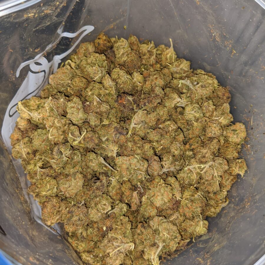 STINKY BUBBA BS TO SKUNK OG 4 I Skunk OG Bulk Special