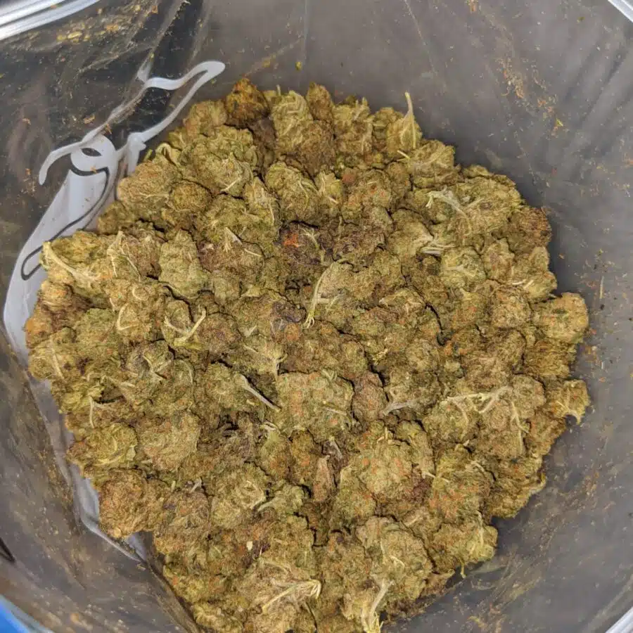STINKY BUBBA BS TO SKUNK OG 4 I Skunk OG Bulk Special