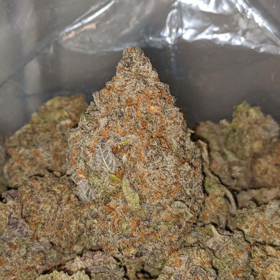 SUPER PURPLE DOD 1 1 I Super Purple- *Deal of the Day*