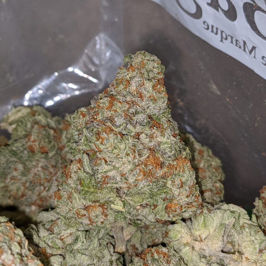 SWEET TOOTH DOD 1 I Sweet Tooth - *Deal of the Day*