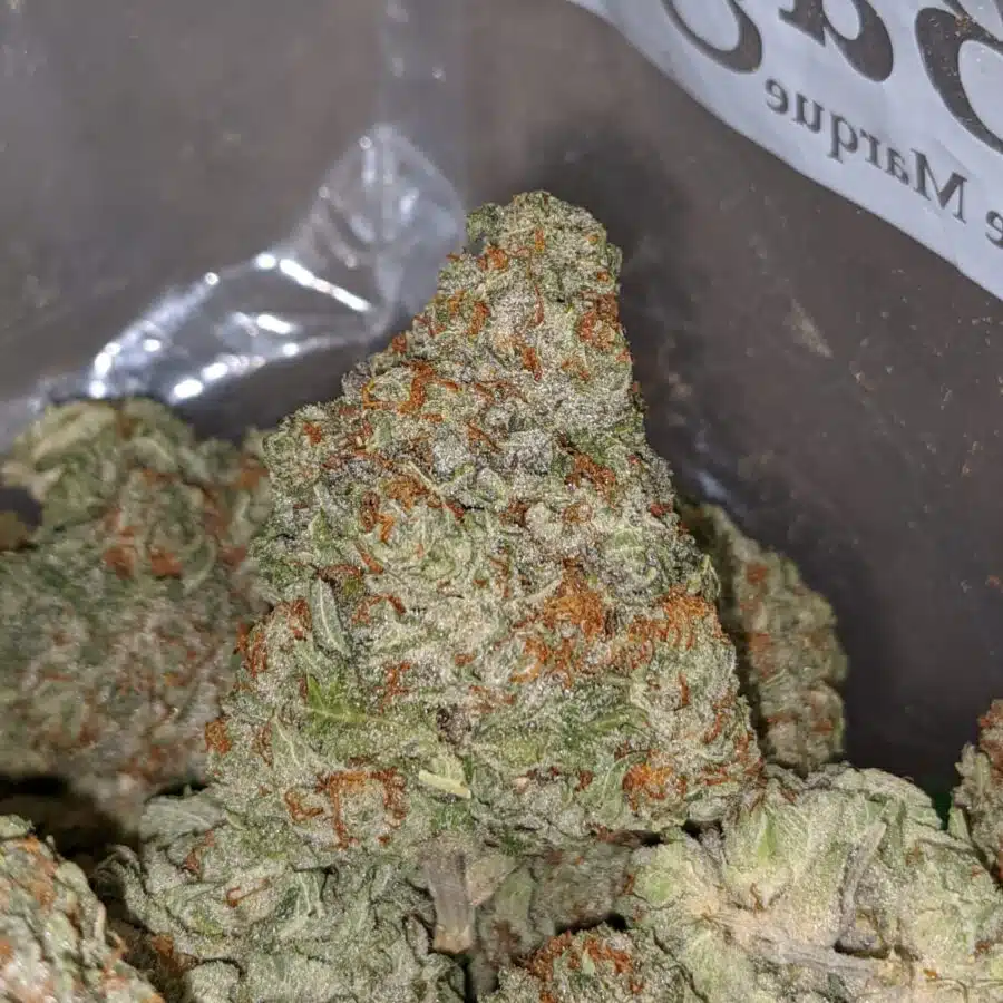 SWEET TOOTH DOD 1 I Sweet Tooth - *Deal of the Day*