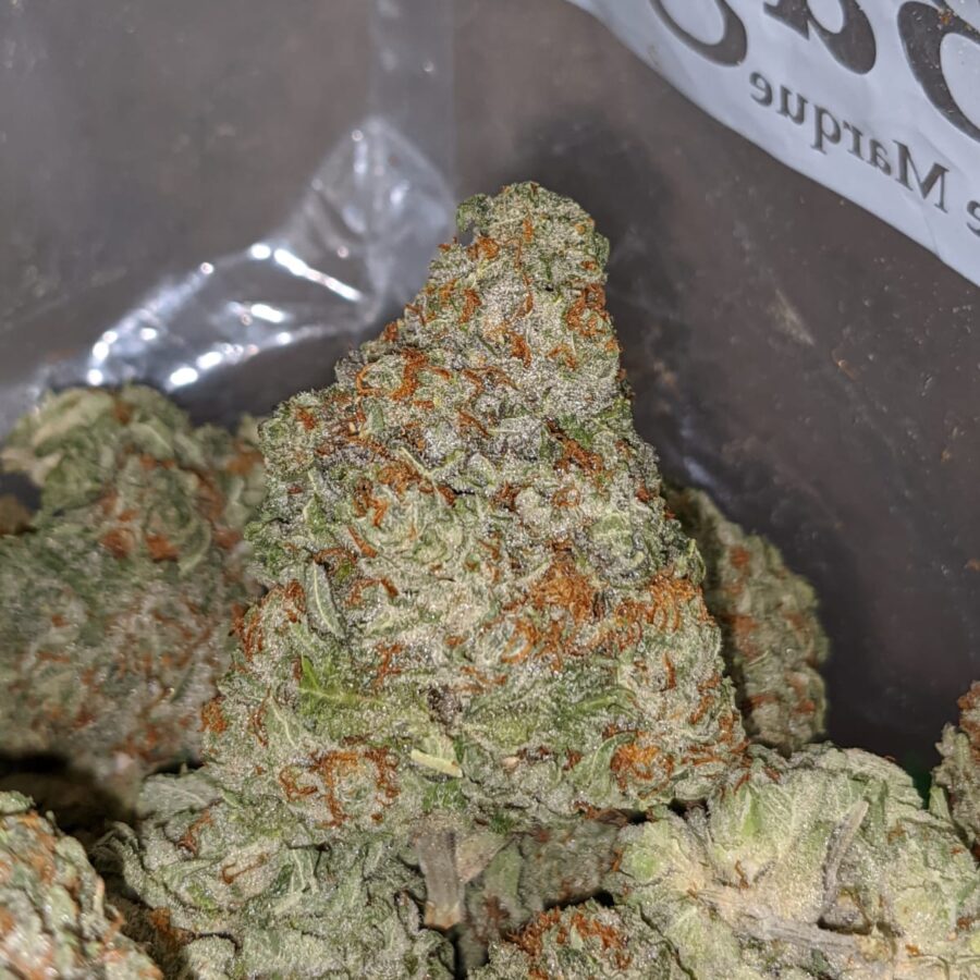 SWEET TOOTH DOD 2 I Sweet Tooth - *Deal of the Day*