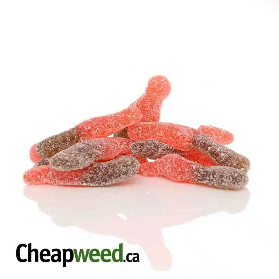 Sour Cherry Cola (50pc x 30mg)