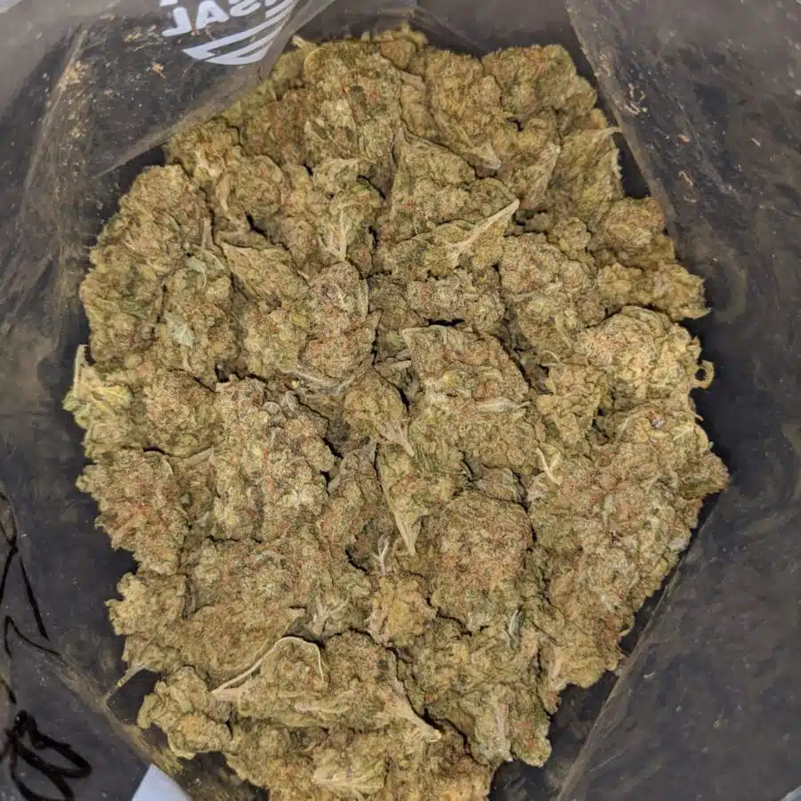THUNDERFUCK BS 1 I Thunderfuck Bulk Special