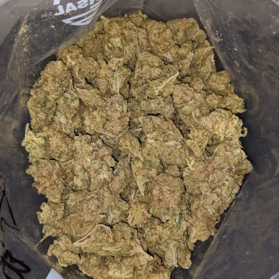 THUNDERFUCK BS 2 I Thunderfuck Bulk Special