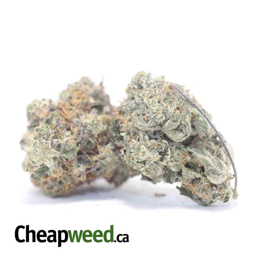 WHITE KUSH 3 I White Kush 25.22% THC