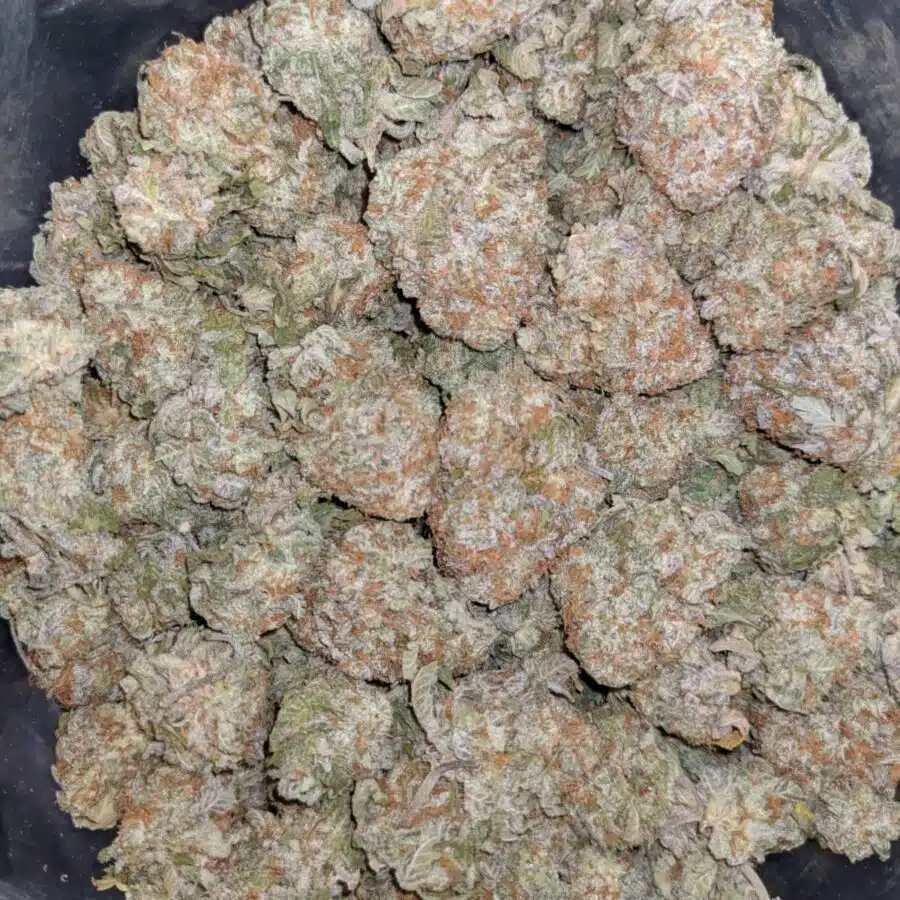 WHITE STRAWBERRY COUGH DOD 1 rotated I Strawberry Cough - *Deal Of The Day*