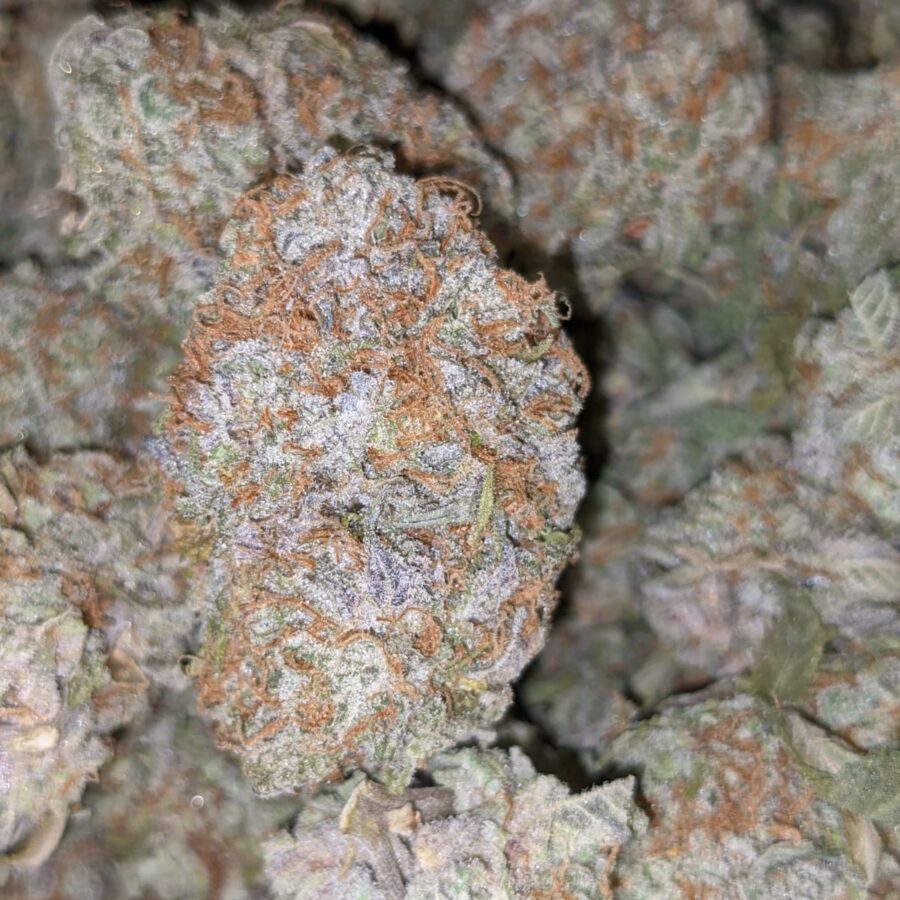 WHITE STRAWBERRY COUGH DOD 2 I Strawberry Cough - *Deal Of The Day*