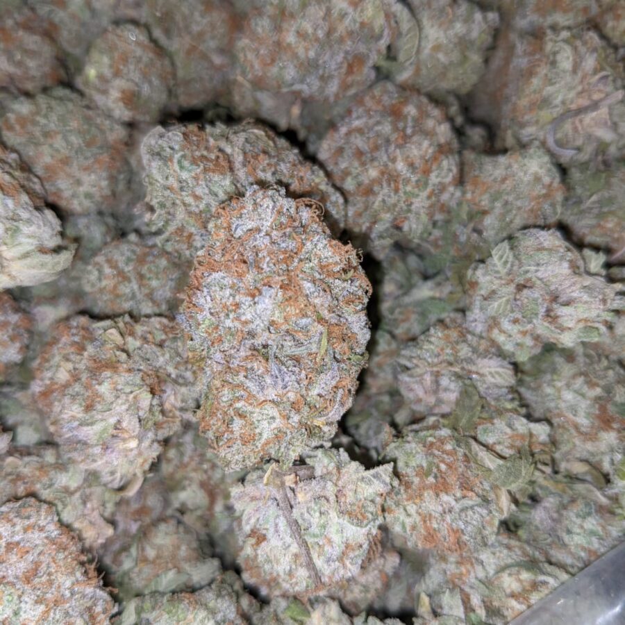 WHITE STRAWBERRY COUGH DOD 3 I Strawberry Cough - *Deal Of The Day*