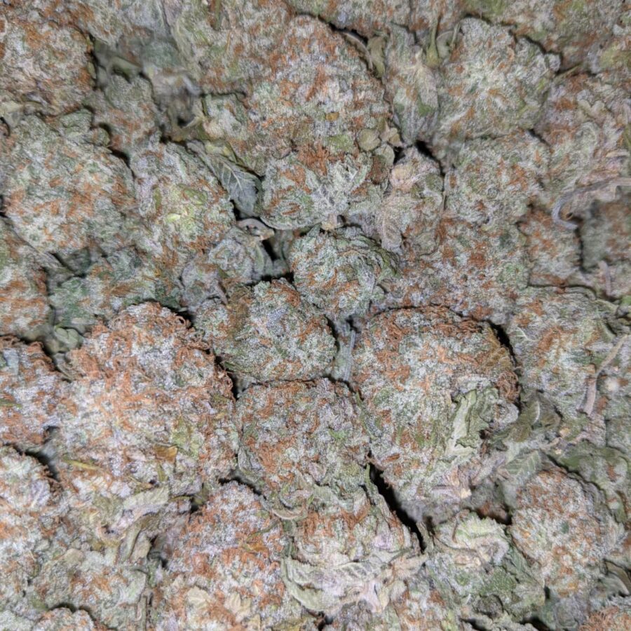 WHITE STRAWBERRY COUGH DOD 4 I Strawberry Cough - *Deal Of The Day*