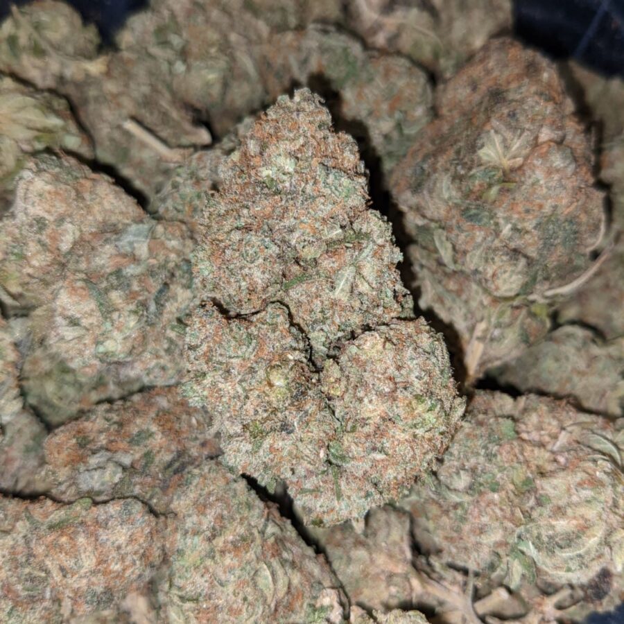 YODA OG BS 2 rotated I Yoda OG Bulk Special