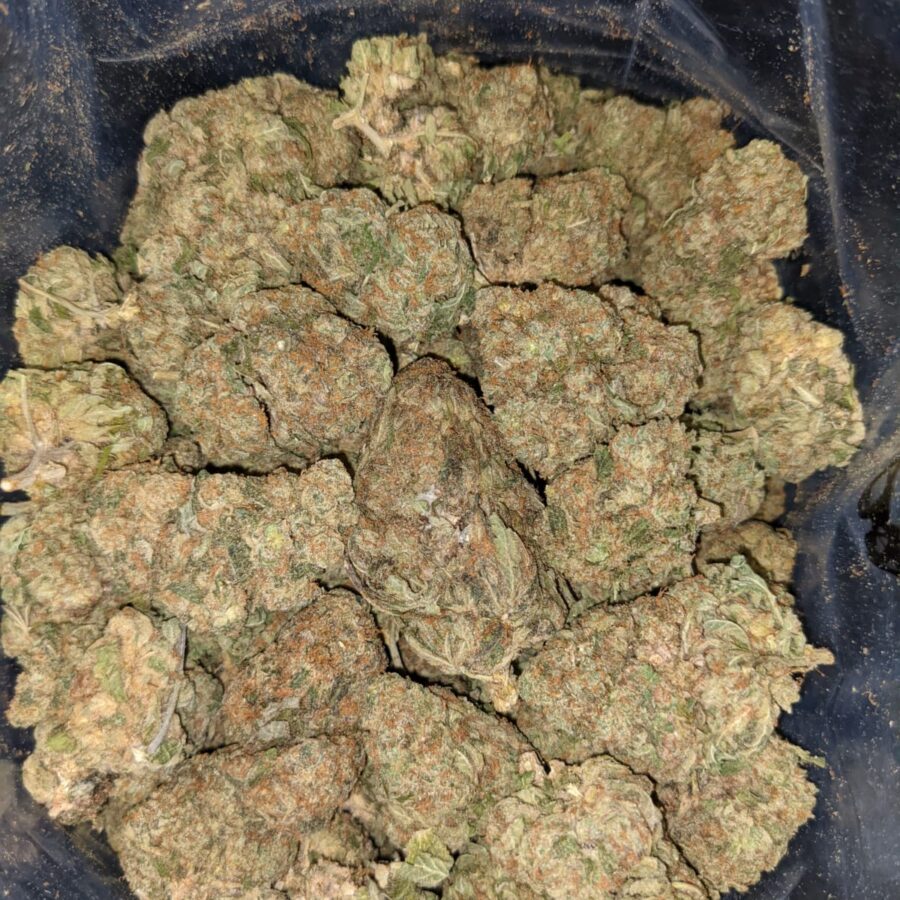 YODA OG BS 4 I Yoda OG Bulk Special