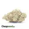 Zedd Bulk Special