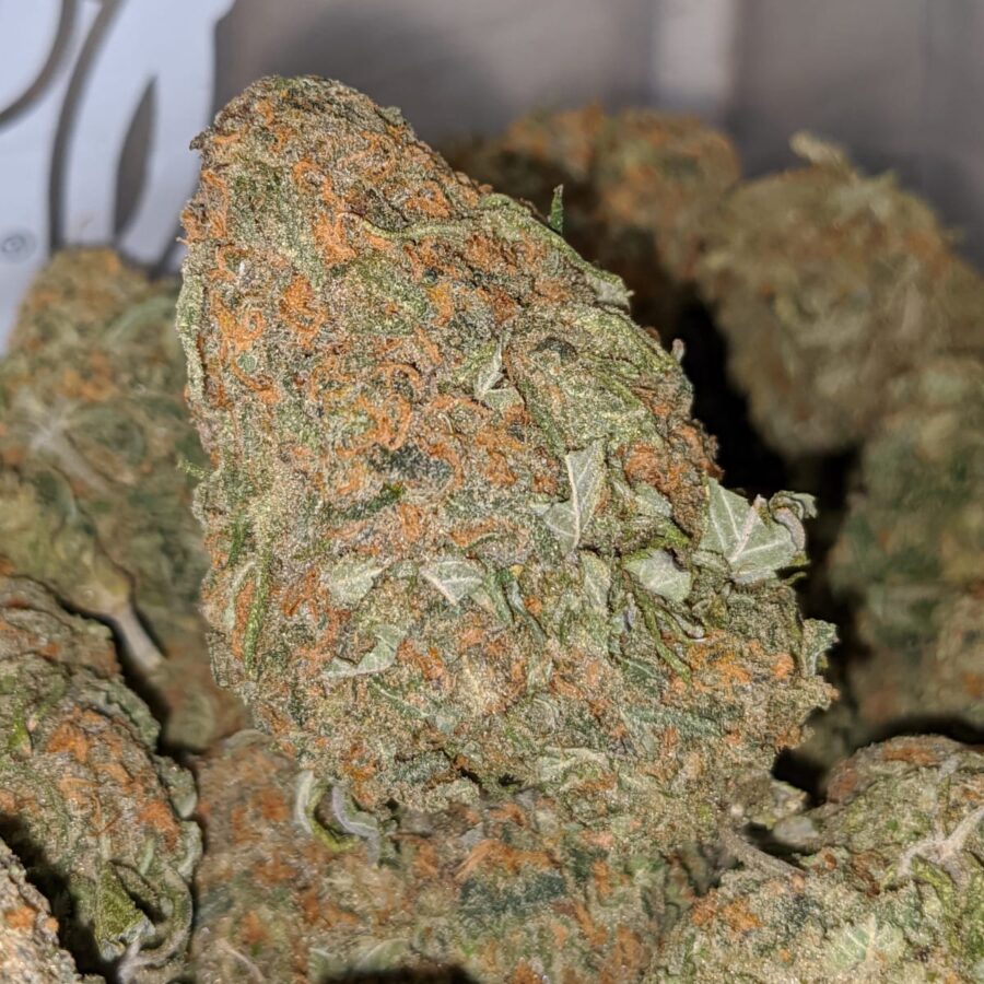 alaskan thunderfuck dod 1 I Alaskan Thunderfuck - *Deal of the Day*