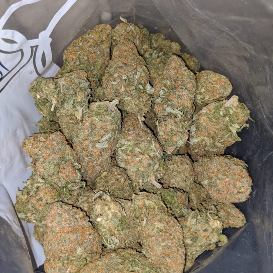 alaskan thunderfuck dod 3 I Alaskan Thunderfuck - *Deal of the Day*