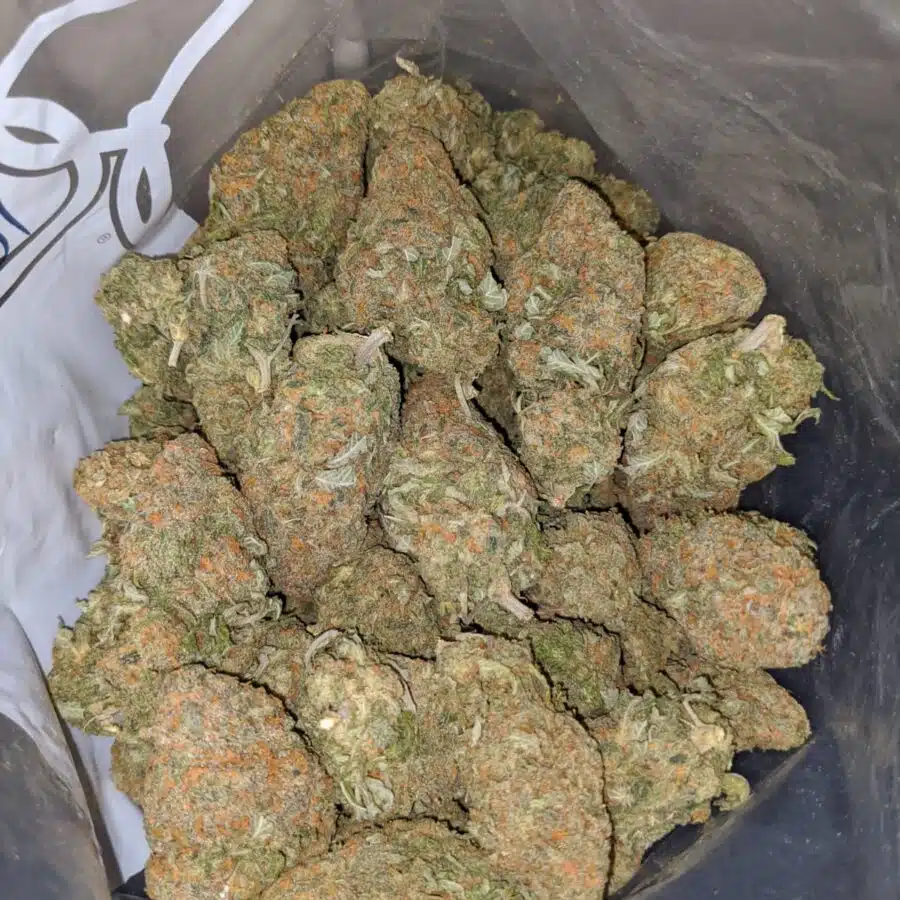 alaskan thunderfuck dod 3 I Alaskan Thunderfuck - *Deal of the Day*