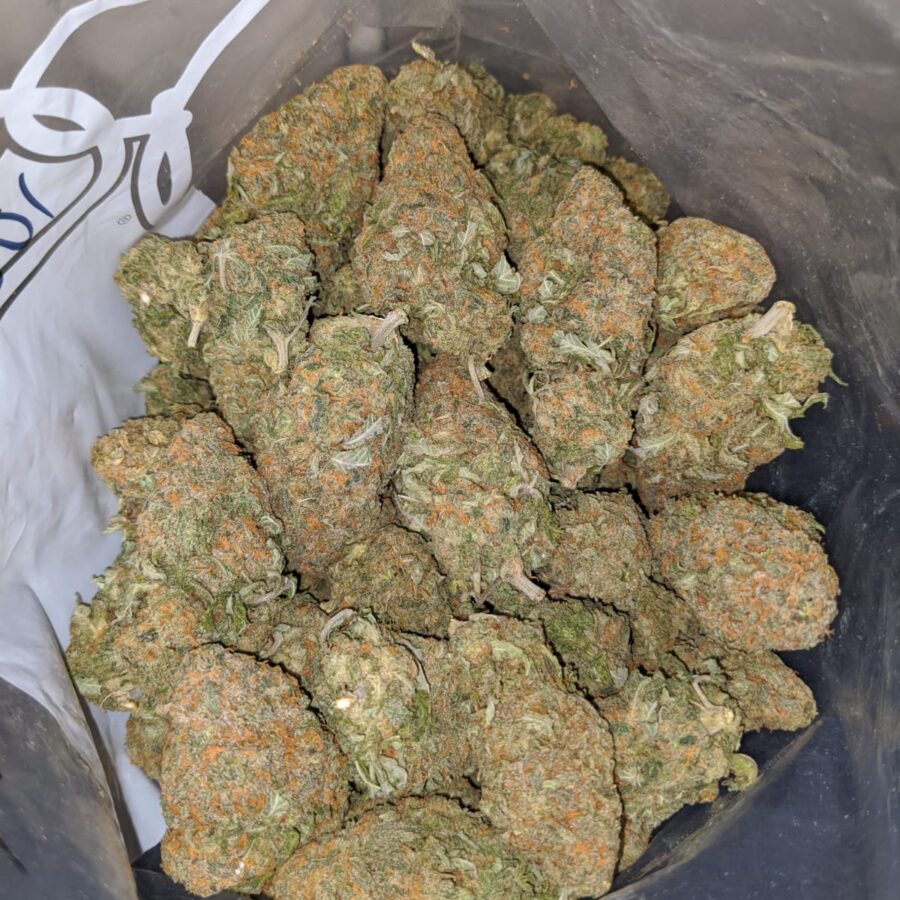 alaskan thunderfuck dod 4 I Alaskan Thunderfuck - *Deal of the Day*
