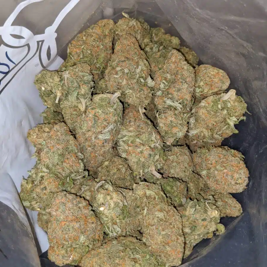 alaskan thunderfuck dod 4 I Alaskan Thunderfuck - *Deal of the Day*