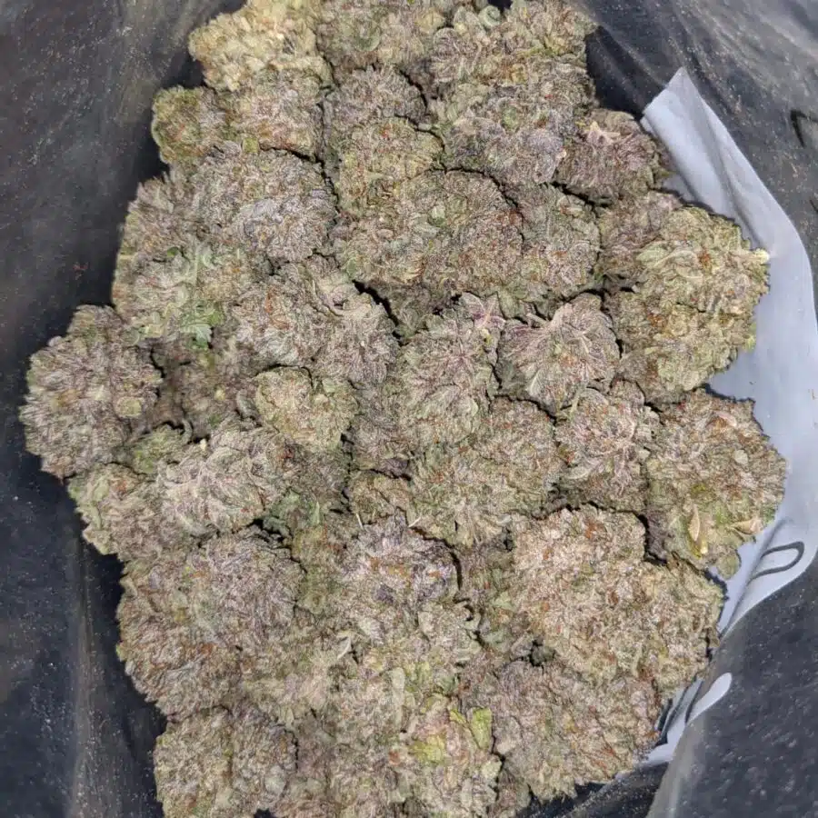 black cherry soda 1 I $ 77 Oz - Black Cherry Soda