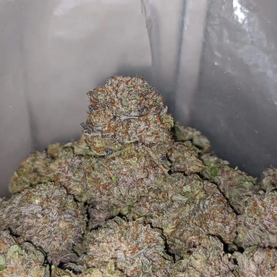 black cherry soda 4 I $ 77 Oz - Black Cherry Soda