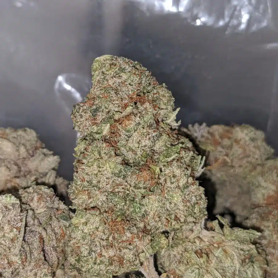 bubbalicious 1 I Bubblegum