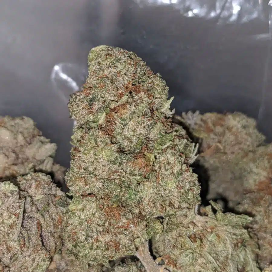 bubbalicious 2 I Bubblegum