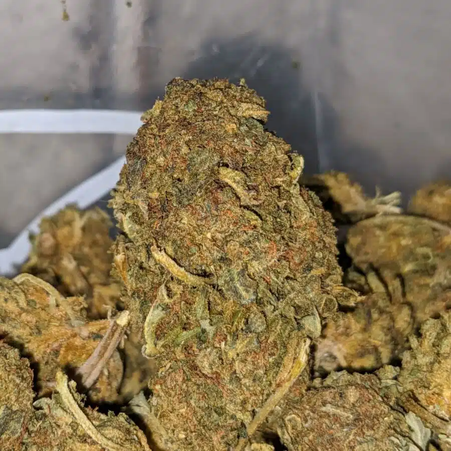 cheap bulk aa 1 I Cheap Bulk AA+