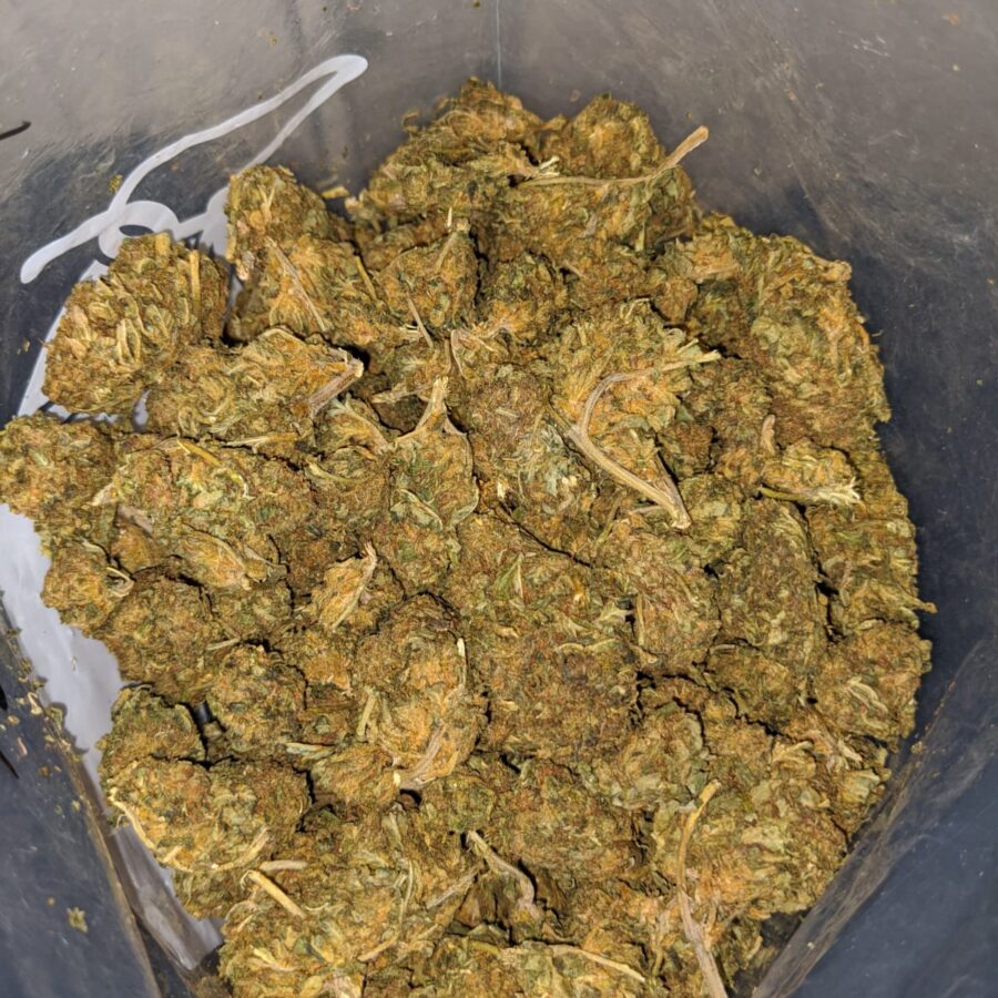 cheap bulk aa 3 I Cheap Bulk AA+