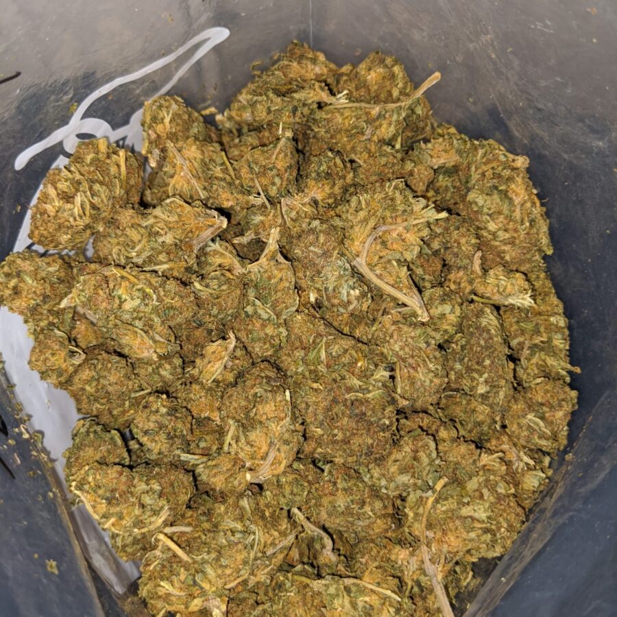 cheap bulk aa 4 I Cheap Bulk AA+