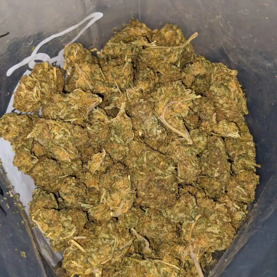 cheap bulk aa 4 I Cheap Bulk AA+