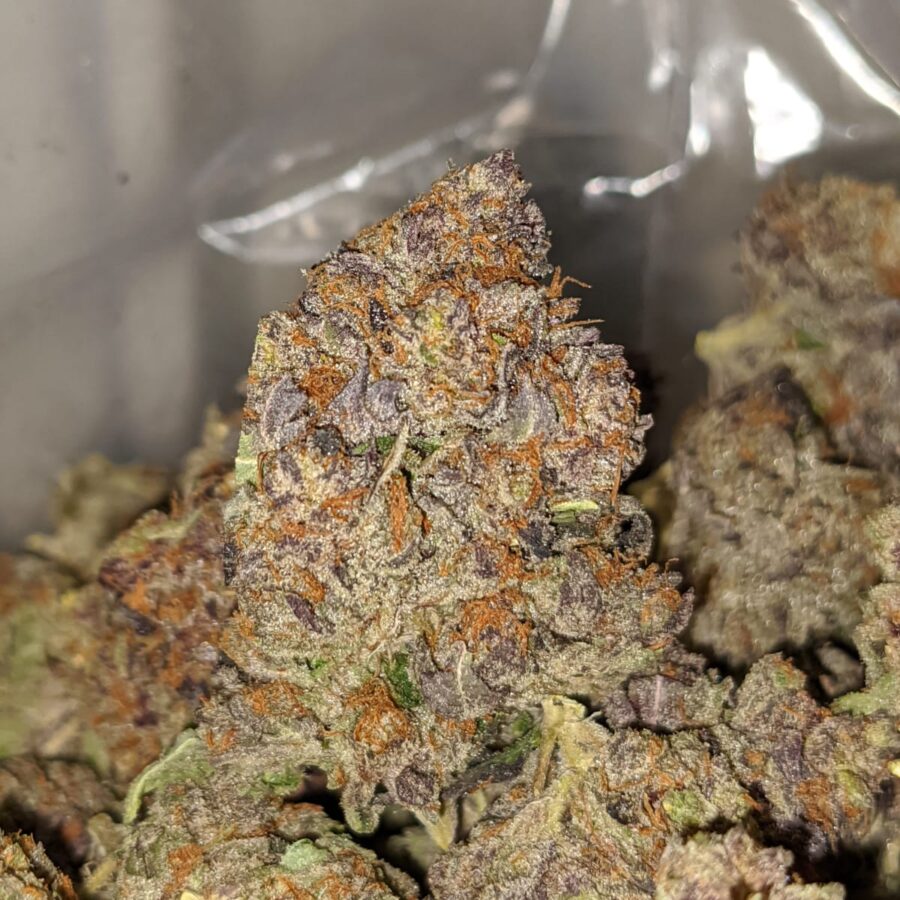 emmas granddaddy purple 1 I Emma's Granddaddy Purple