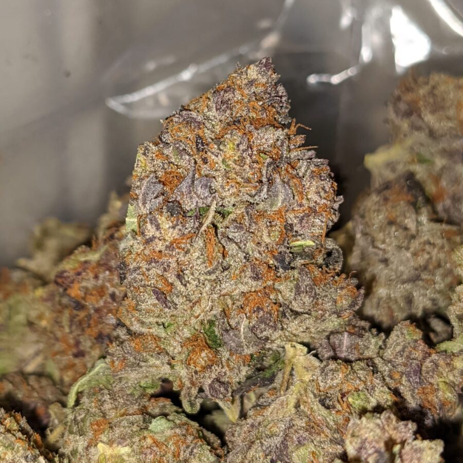 emmas granddaddy purple 2 I Emma's Granddaddy Purple