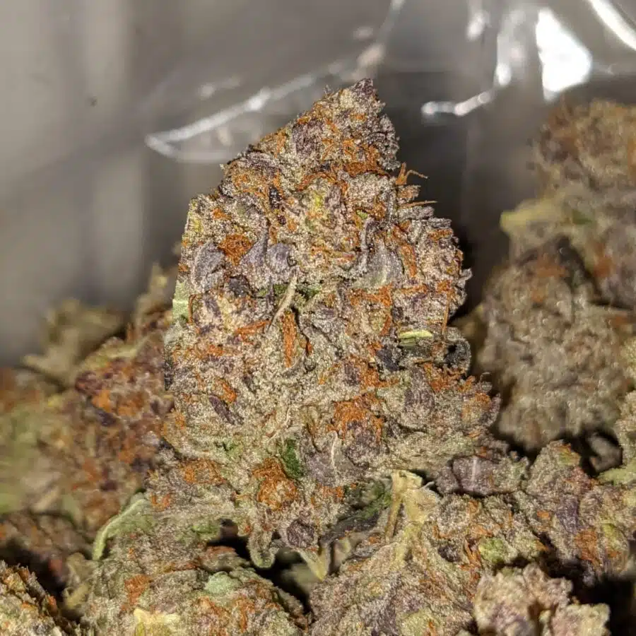 emmas granddaddy purple 2 I Emma's Granddaddy Purple
