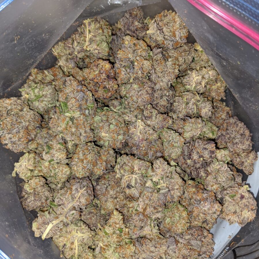 emmas granddaddy purple 3 I Emma's Granddaddy Purple