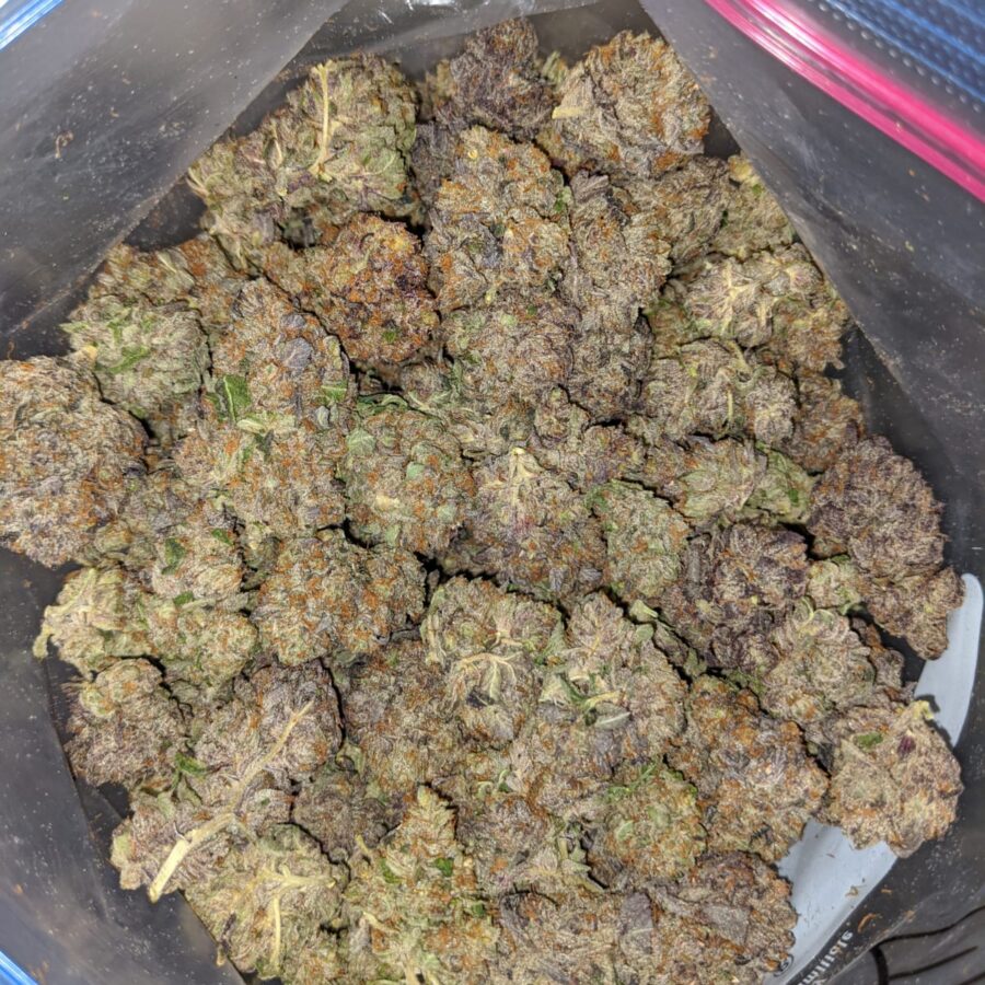 emmas granddaddy purple 4 I Emma's Granddaddy Purple