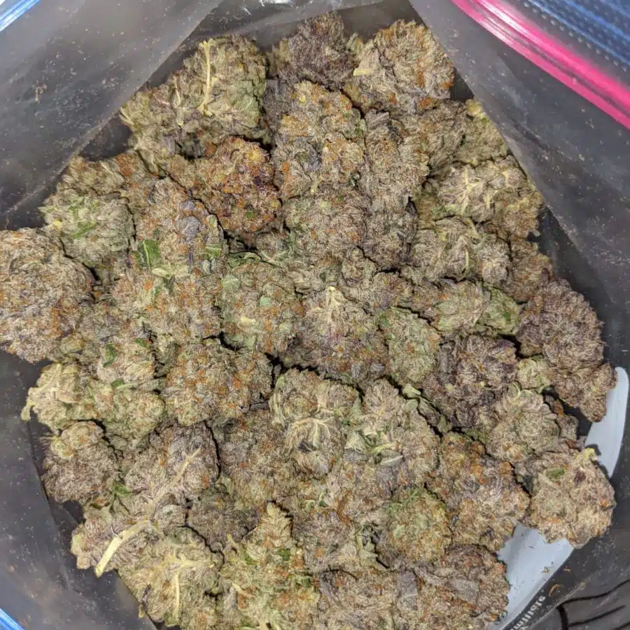 emmas granddaddy purple 4 I Emma's Granddaddy Purple