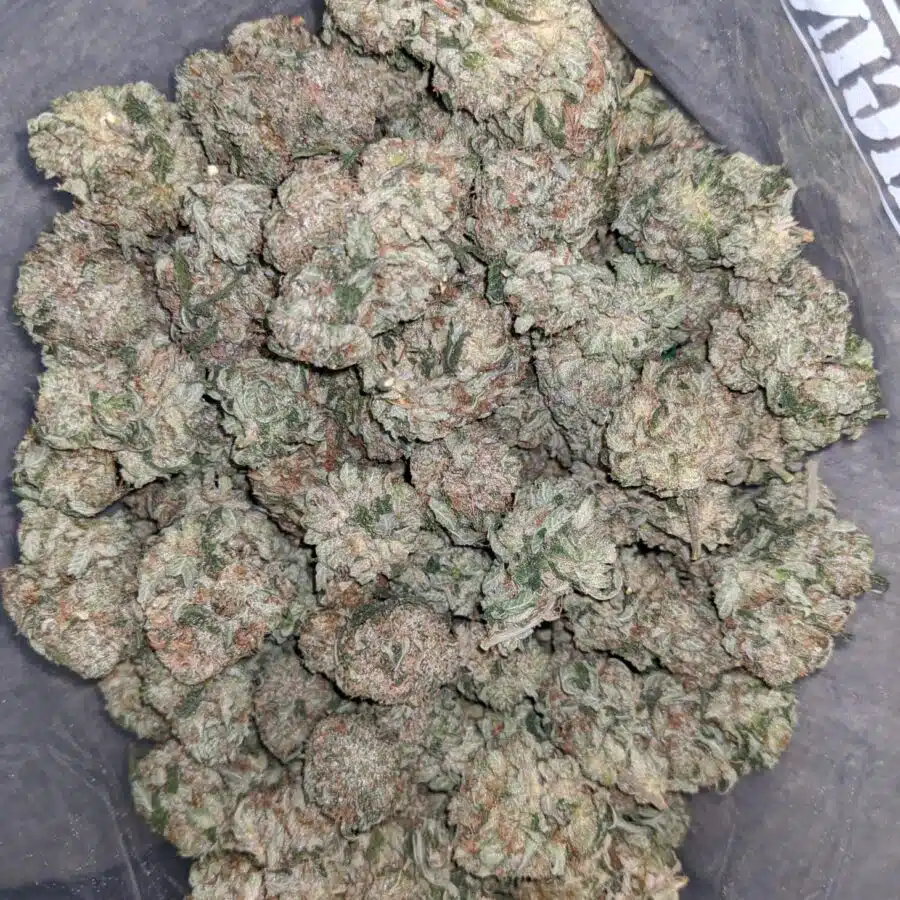 emmas mk ultra 1 I Emma's MK Ultra