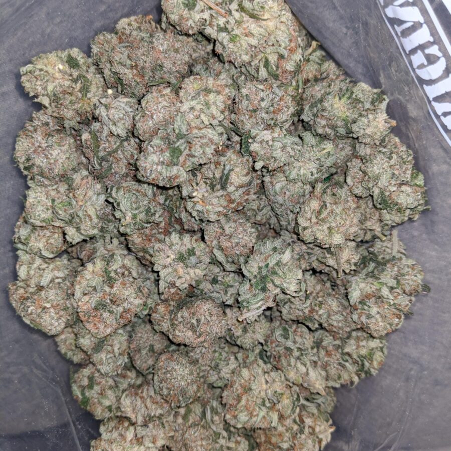 emmas mk ultra 2 I Emma's MK Ultra