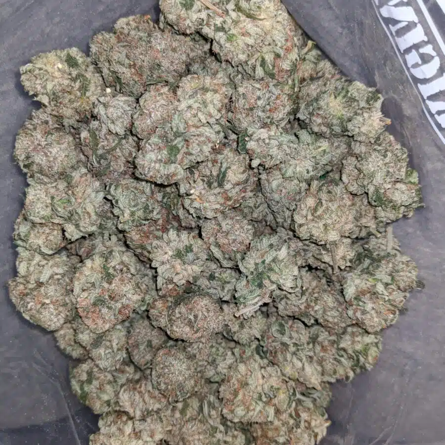 emmas mk ultra 2 I Emma's MK Ultra