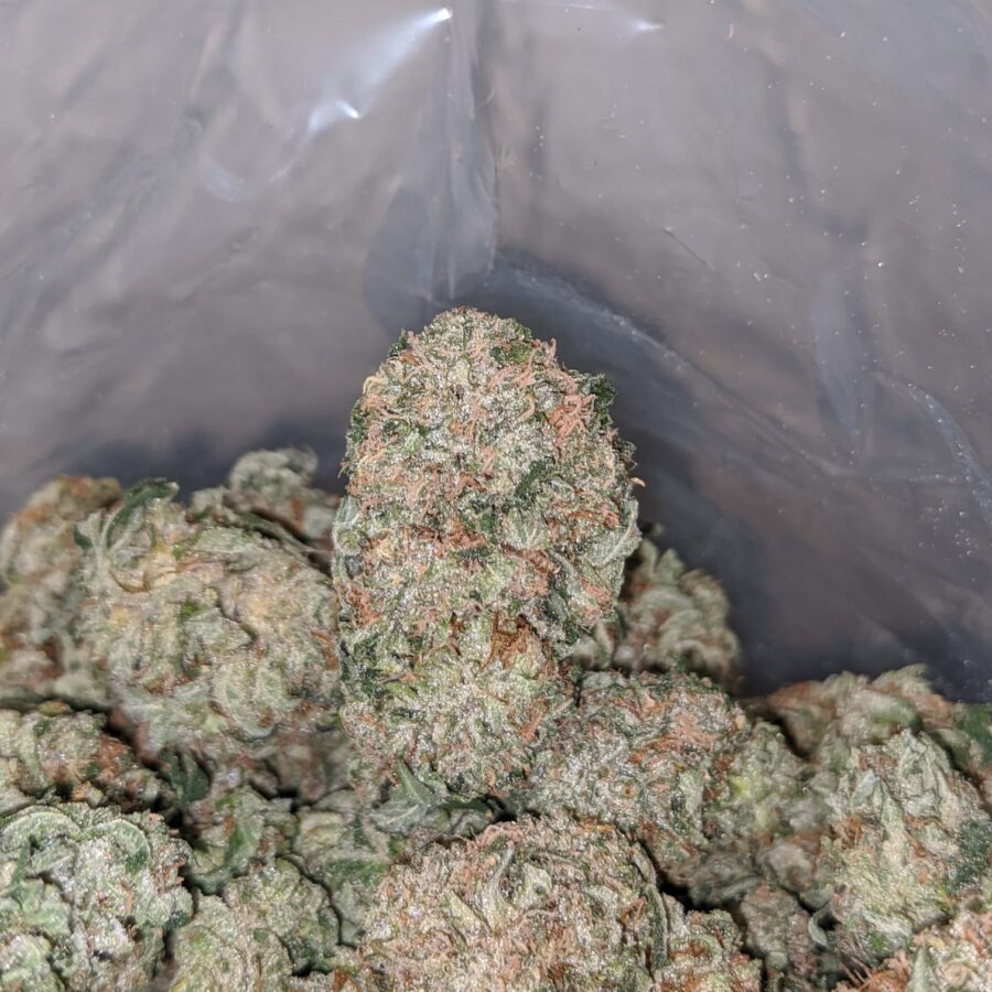 emmas mk ultra 3 I Emma's MK Ultra