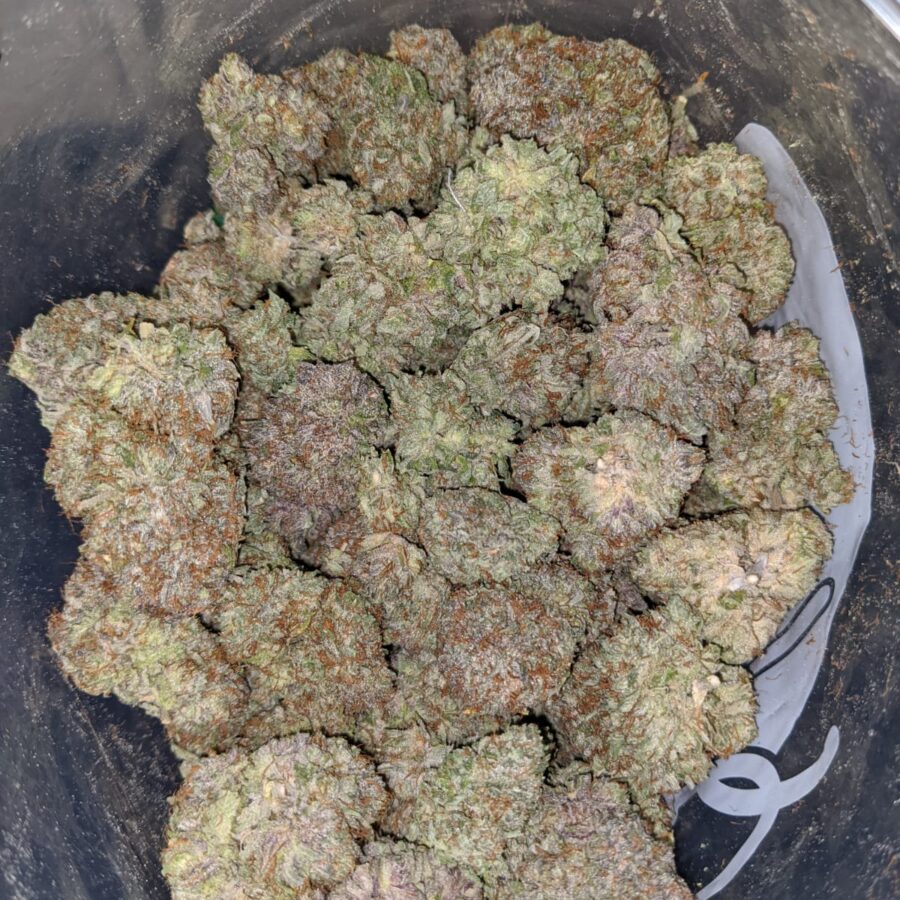 gb 1 I Gods Bubba